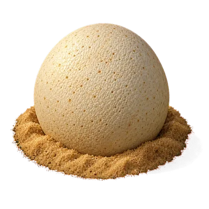 A sauropod egg