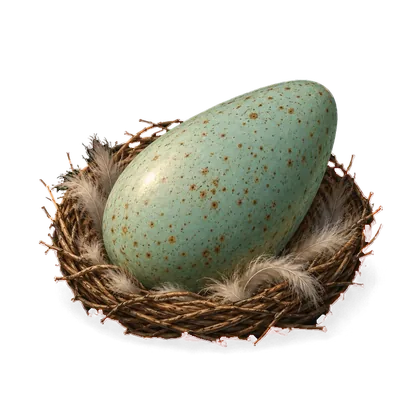 A theropod egg
